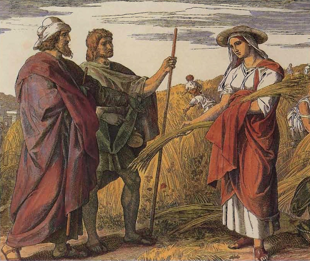 Ruth dans le champ de Booz, gravure sur bois, tirée de la Bible en images de Julius Schnorr von Carolsfed (1794-1874), Leipzig, 1860.