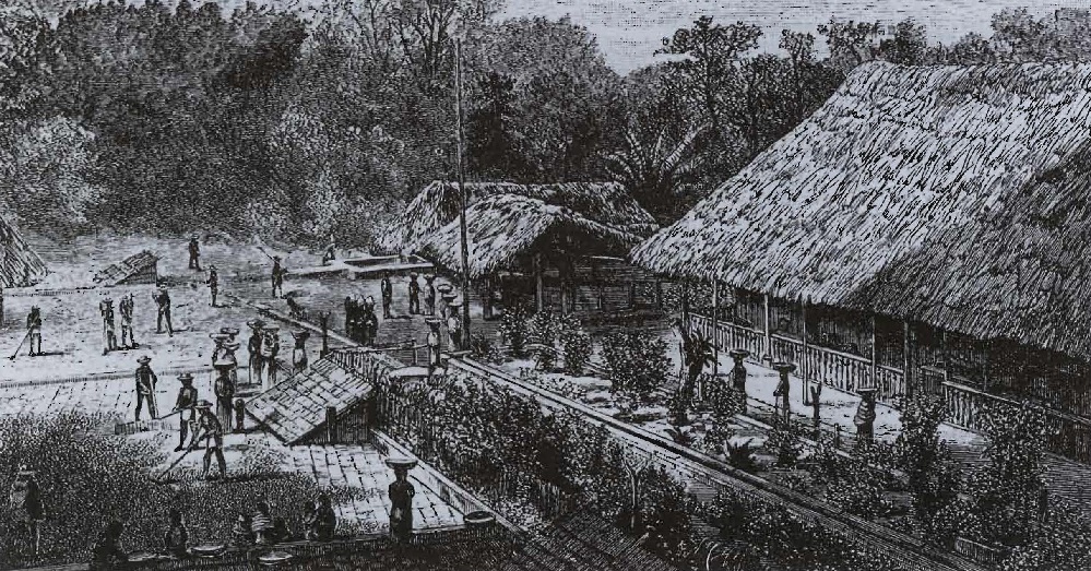 Travailleurs dans une plantation de café en Amérique du Sud, gravure du XlXe siècle de F M. Reynolds