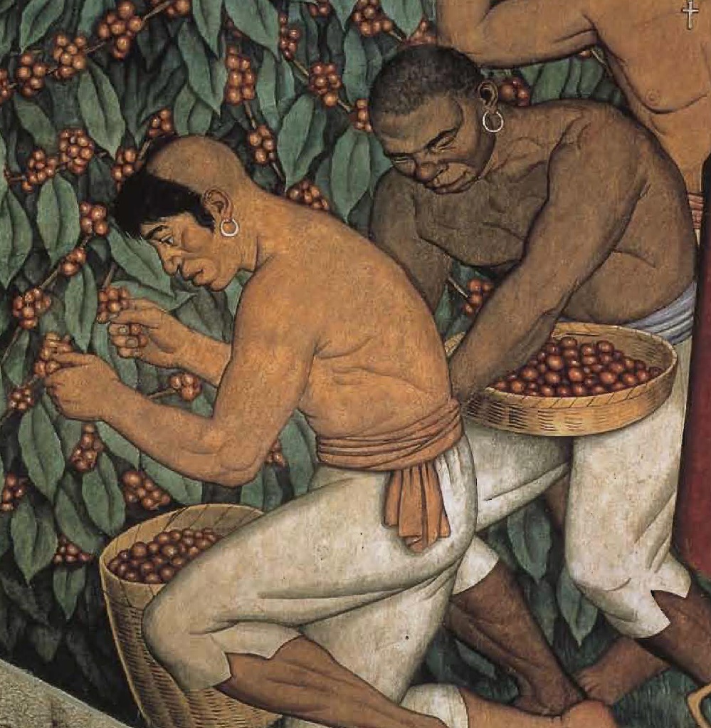 Cueillette du café, tableau de Francisco Miranda (1750-1816).