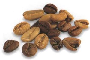 Fèves trop fermentées.
